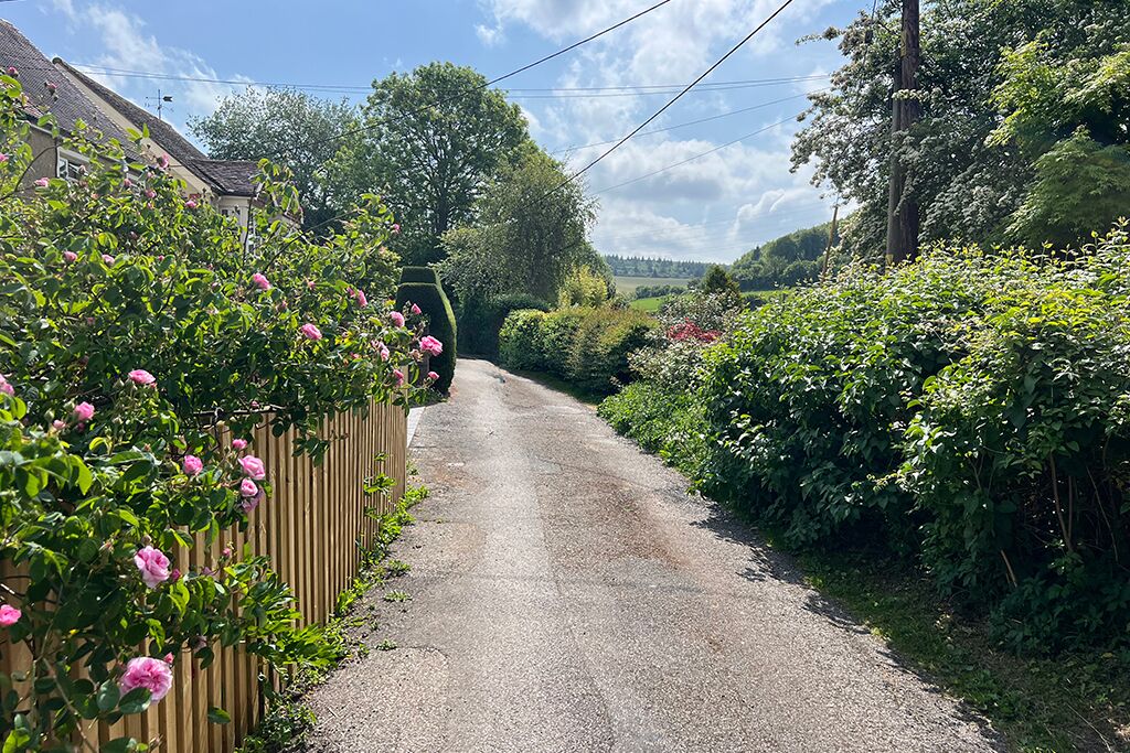 Narrow gravel lane with greenery and a wooden fence