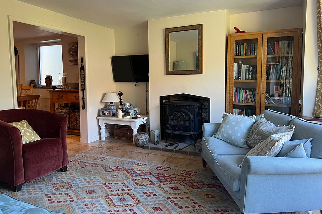 Living room fireplace, television, bookshelf and red armchair