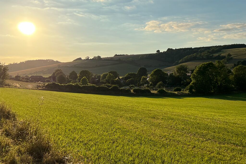Open field with rolling hills in the distance