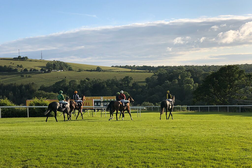Polo players on horseback in front of rolling countryside