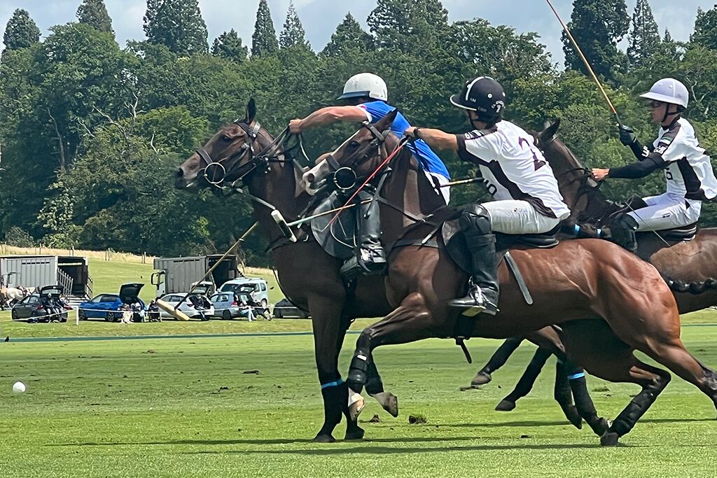 Polo players on horseback on a grassy field