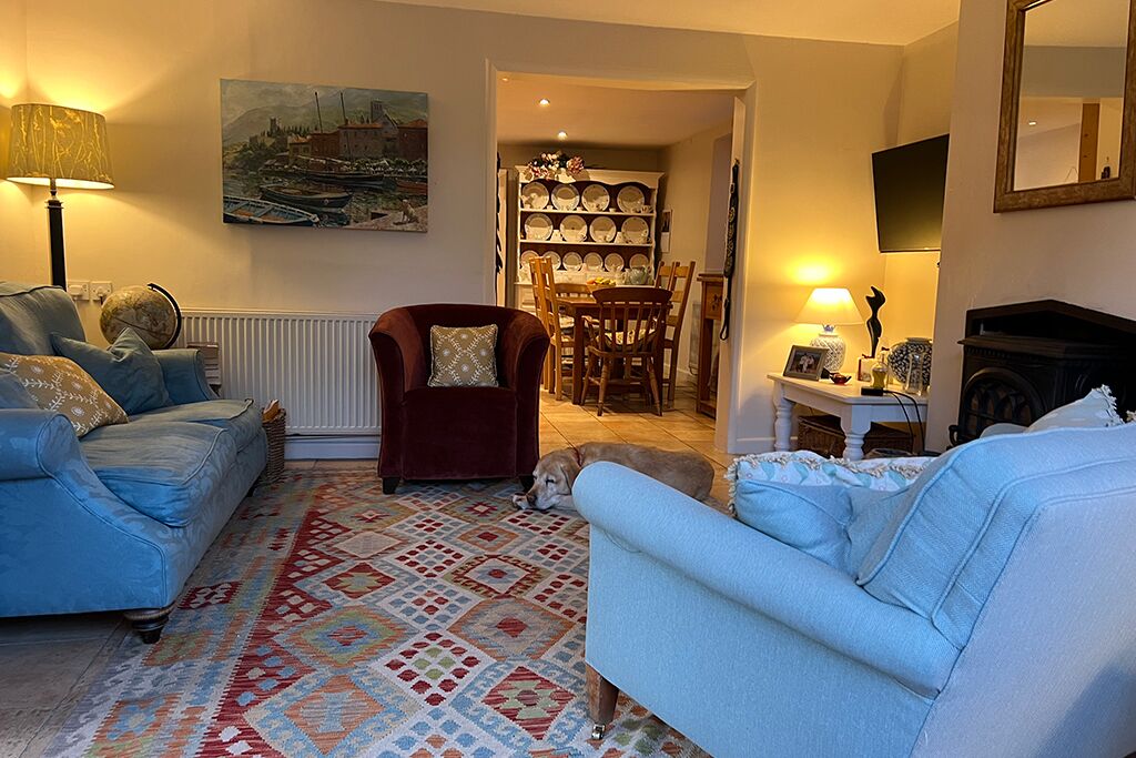 Living room with a patterned rug, red armchair and blue sofa