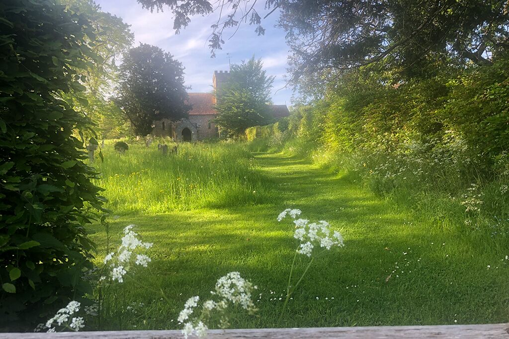 Path through greenery leading to East Dean church
