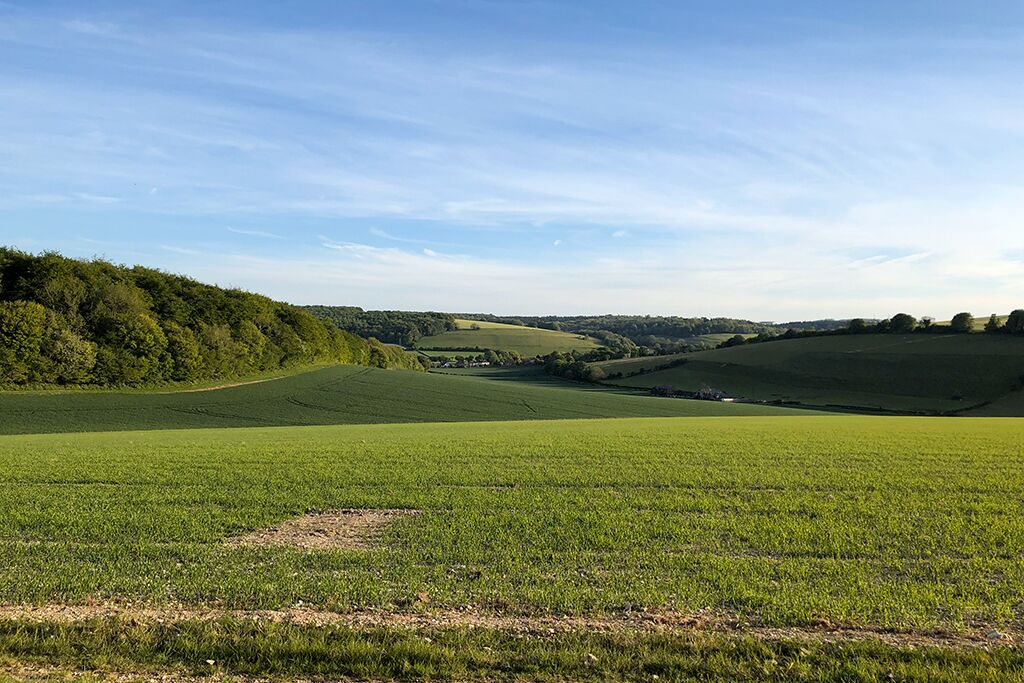 Rolling countryside beneath a clear sky