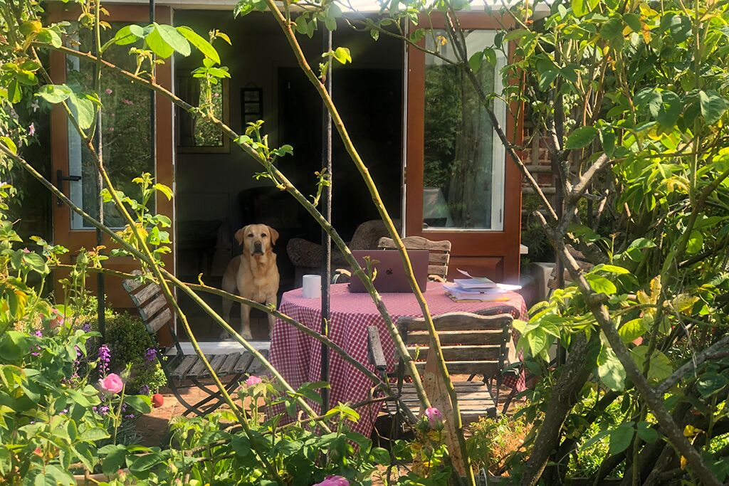 A dog sitting beside the garden patio and cottage doors